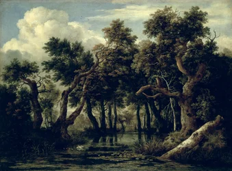 Landschaft mit einer Eiche, 1634